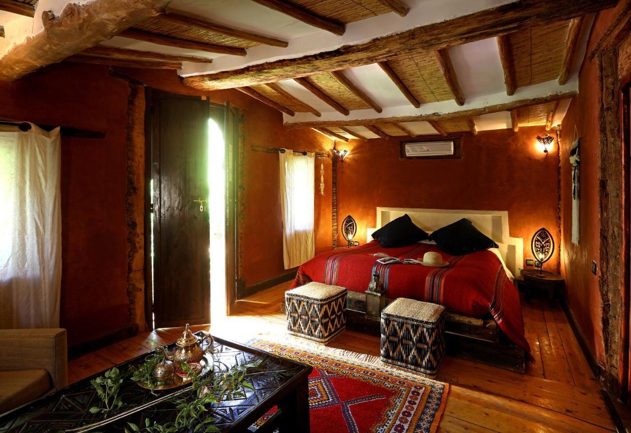 Ecolodge Bab El Oued Maroc Oasis Agdz Exterior photo