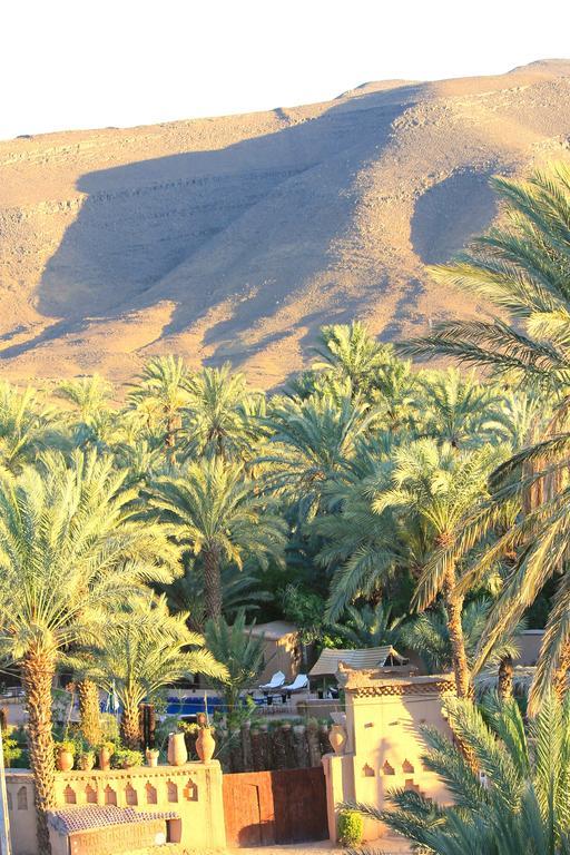 Ecolodge Bab El Oued Maroc Oasis Agdz Exterior photo