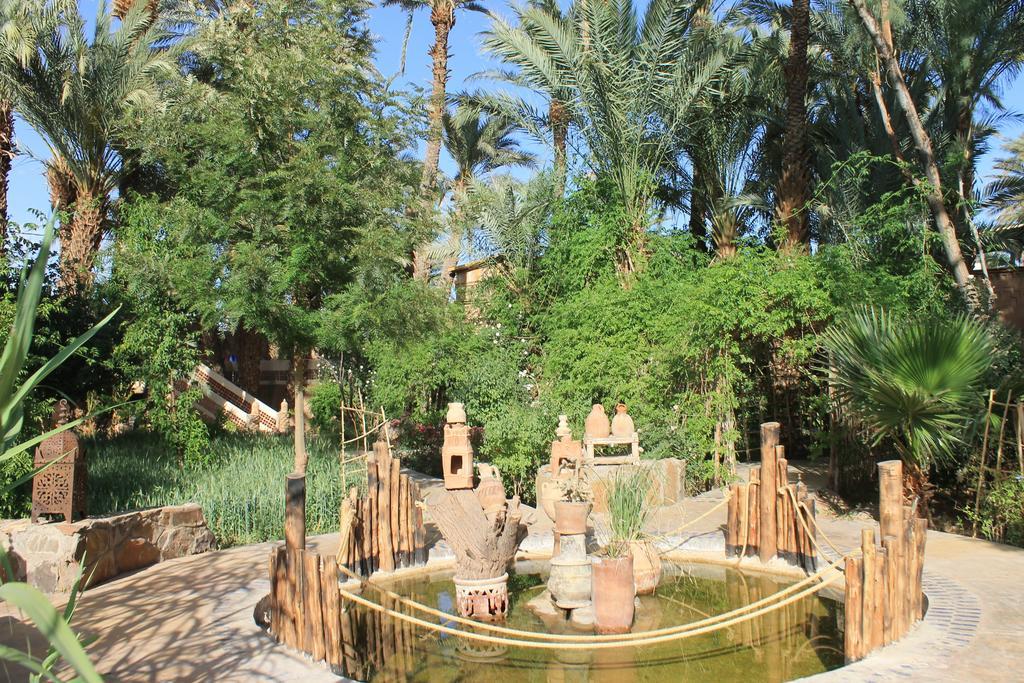 Ecolodge Bab El Oued Maroc Oasis Agdz Exterior photo