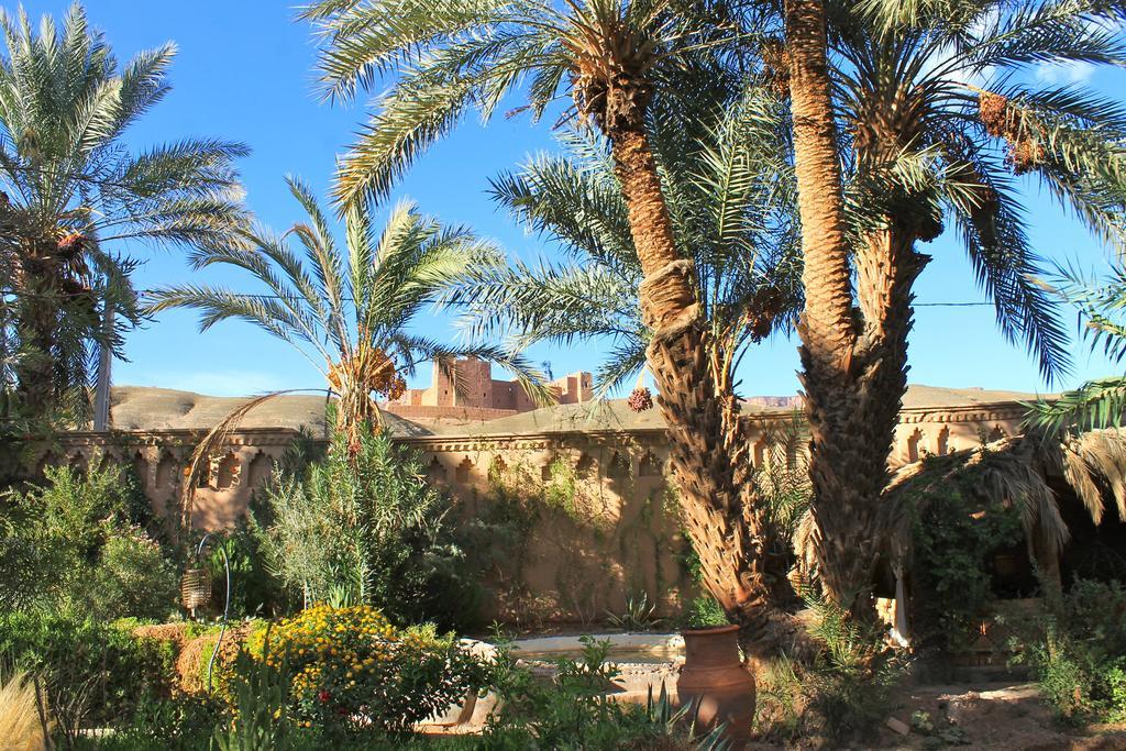 Ecolodge Bab El Oued Maroc Oasis Agdz Exterior photo