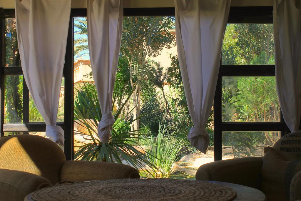 Ecolodge Bab El Oued Maroc Oasis Agdz Exterior photo