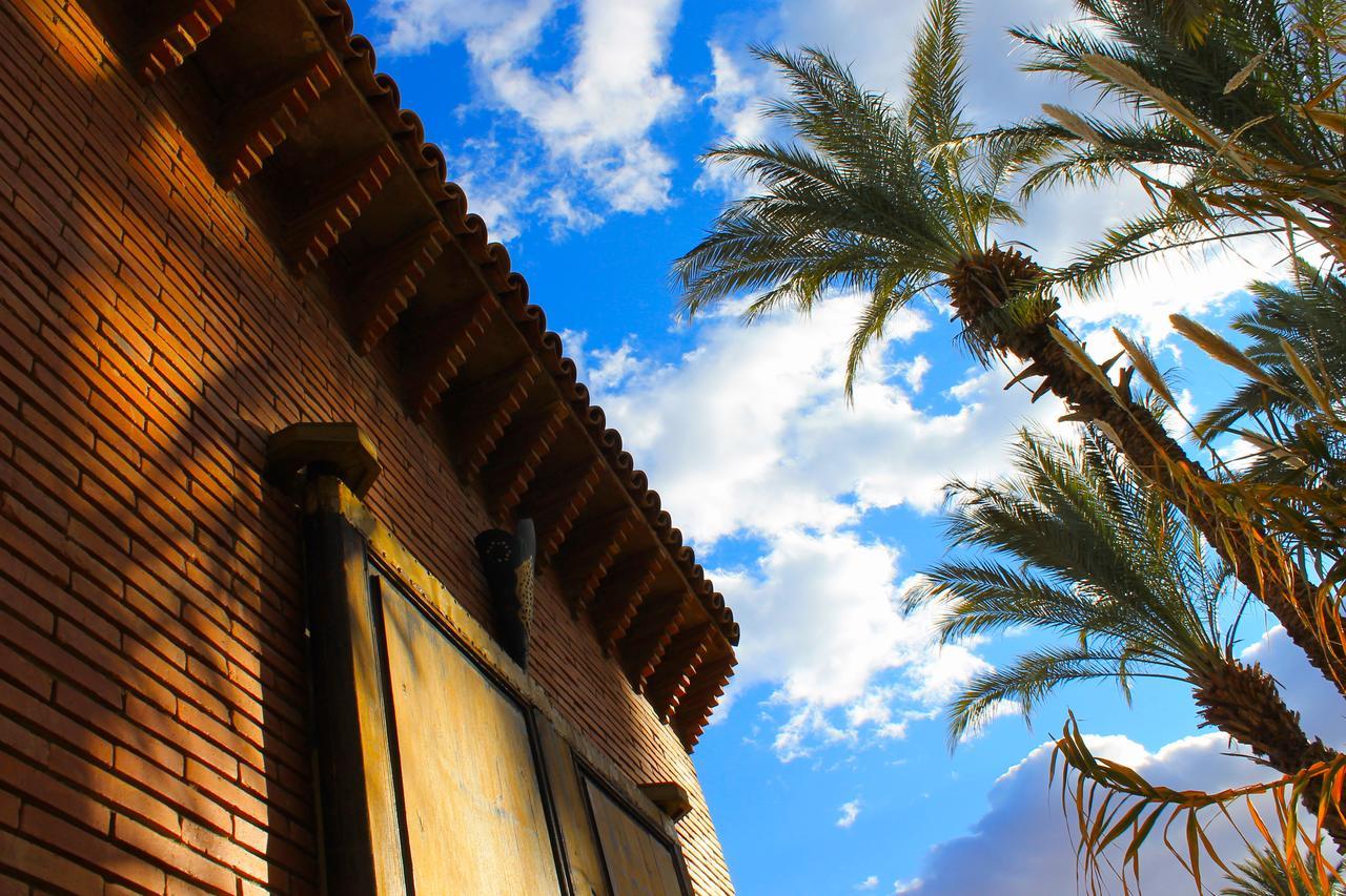 Ecolodge Bab El Oued Maroc Oasis Agdz Exterior photo