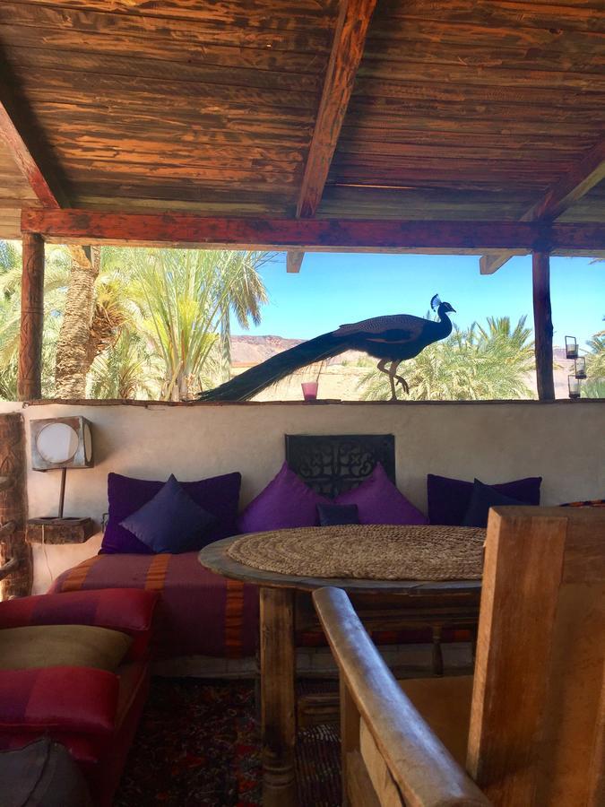 Ecolodge Bab El Oued Maroc Oasis Agdz Exterior photo