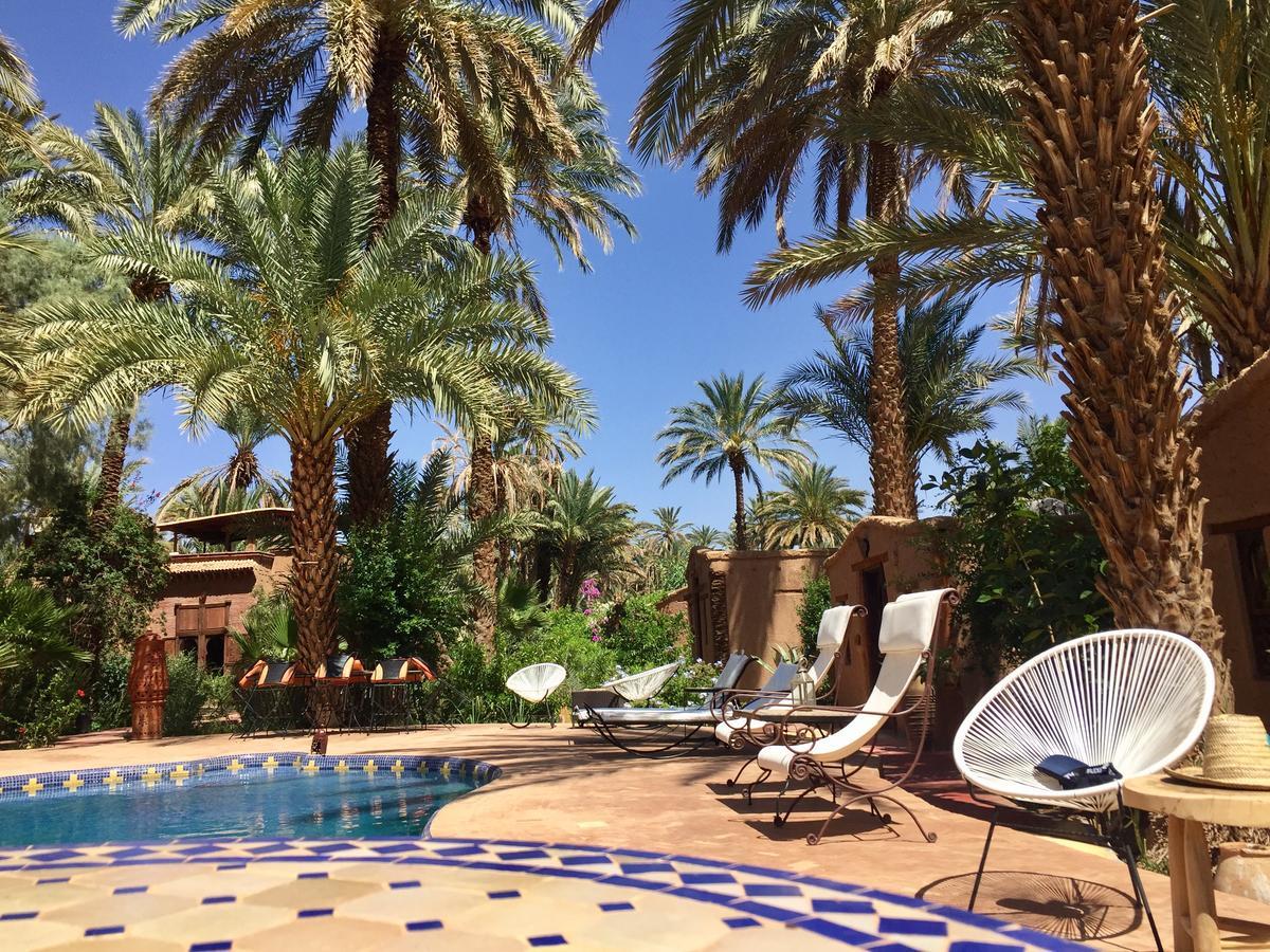 Ecolodge Bab El Oued Maroc Oasis Agdz Exterior photo