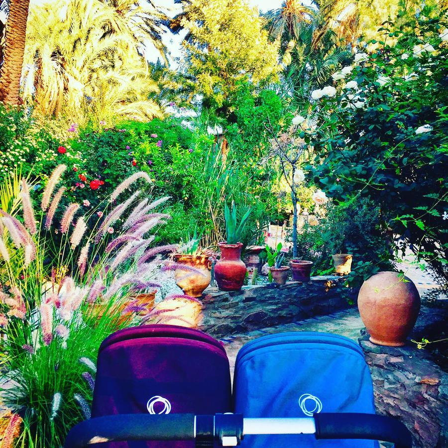 Ecolodge Bab El Oued Maroc Oasis Agdz Exterior photo